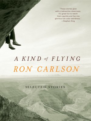 cover image of A Kind of Flying